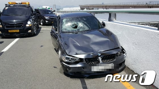 김해공항 국제선 출입구에서 택시운전 기사를 들이받은 BMW 운전자가 사고 당시 시속 93.9km로 질주한 것으로 알려졌다. / 사진=뉴스1
