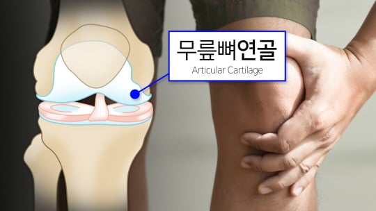 /사진제공=안산 에이스병원