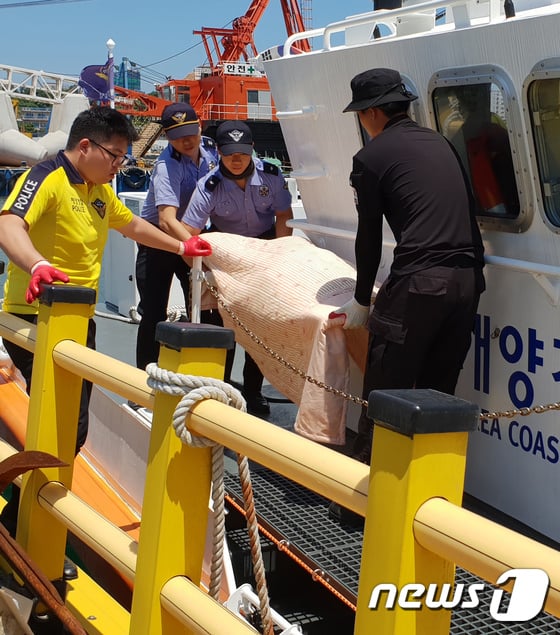 제주도에서 가족 캠핑 중 실종돼 일주일 만에 시신으로 발견된 30대 여성의 부검이 2일 오후 2시에 진행될 예정이다. / 사진=뉴스1