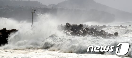 제 19호 태풍 솔릭이 한반도에 직접적인 영향을 줄 것으로 예상되는 가운데 이번 주 전국에 비가 내릴 것으로 보인다. / 사진=뉴스1