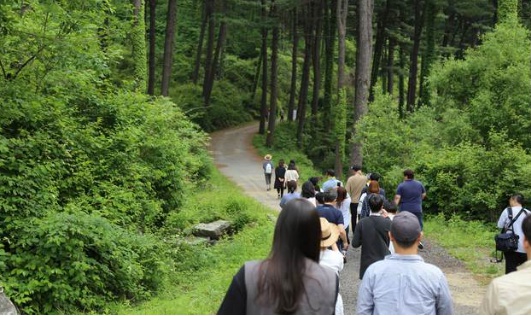 가평 잣향기 푸른 숲./사진제공= 가치가
