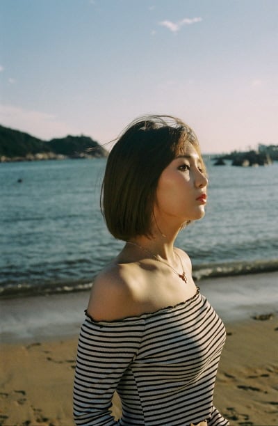 사진