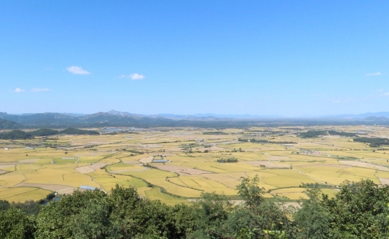 소이산정상에서 바라본 철원평야./사진제공= 철원군청