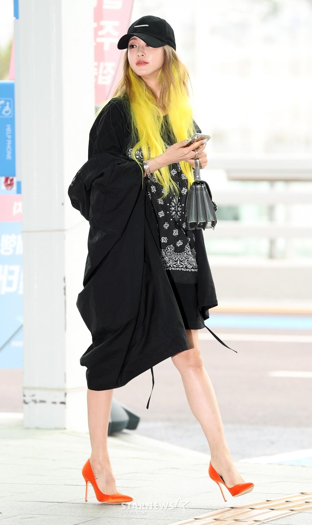사진