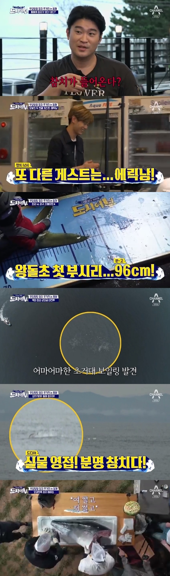 /사진=채널A '도시어부' 방송화면 캡처