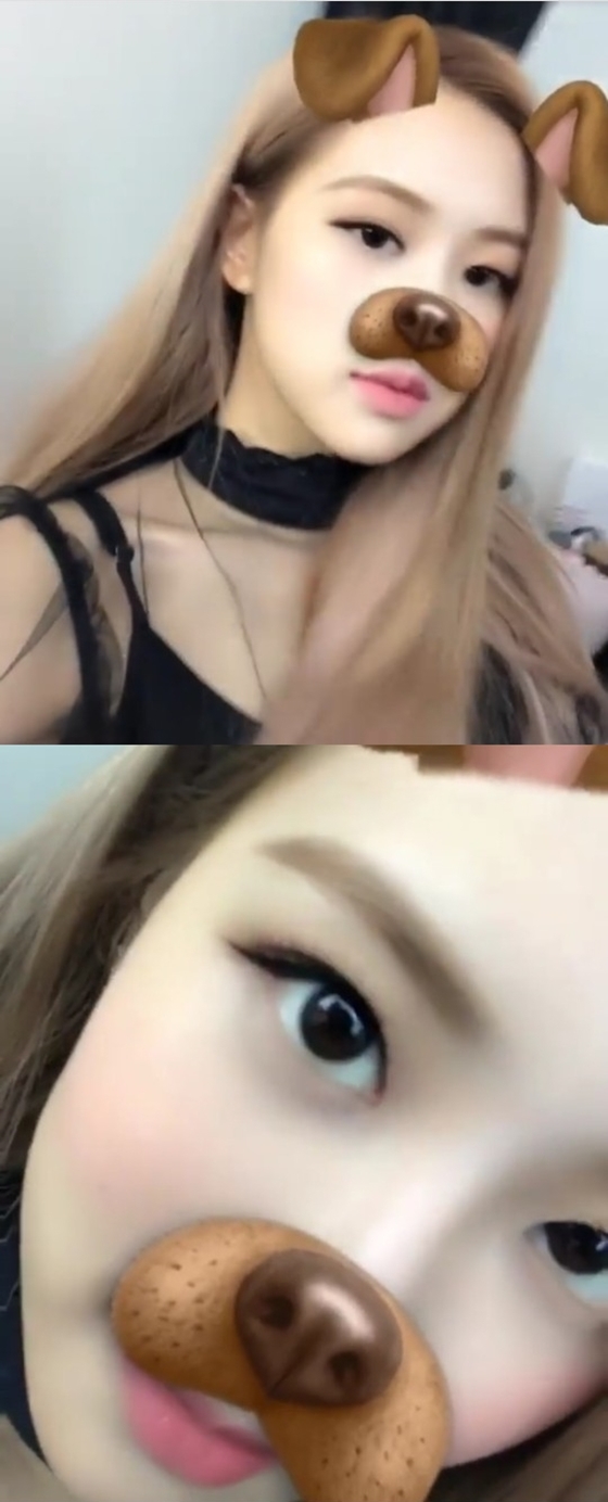 /사진=블랙핑크 로제 인스타그램