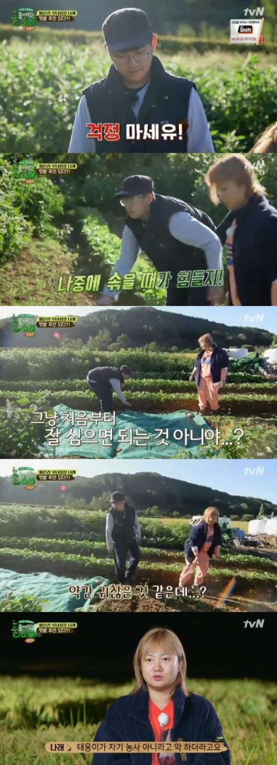/사진=tvN '풀 뜯어먹는 소리' 방송화면 캡처