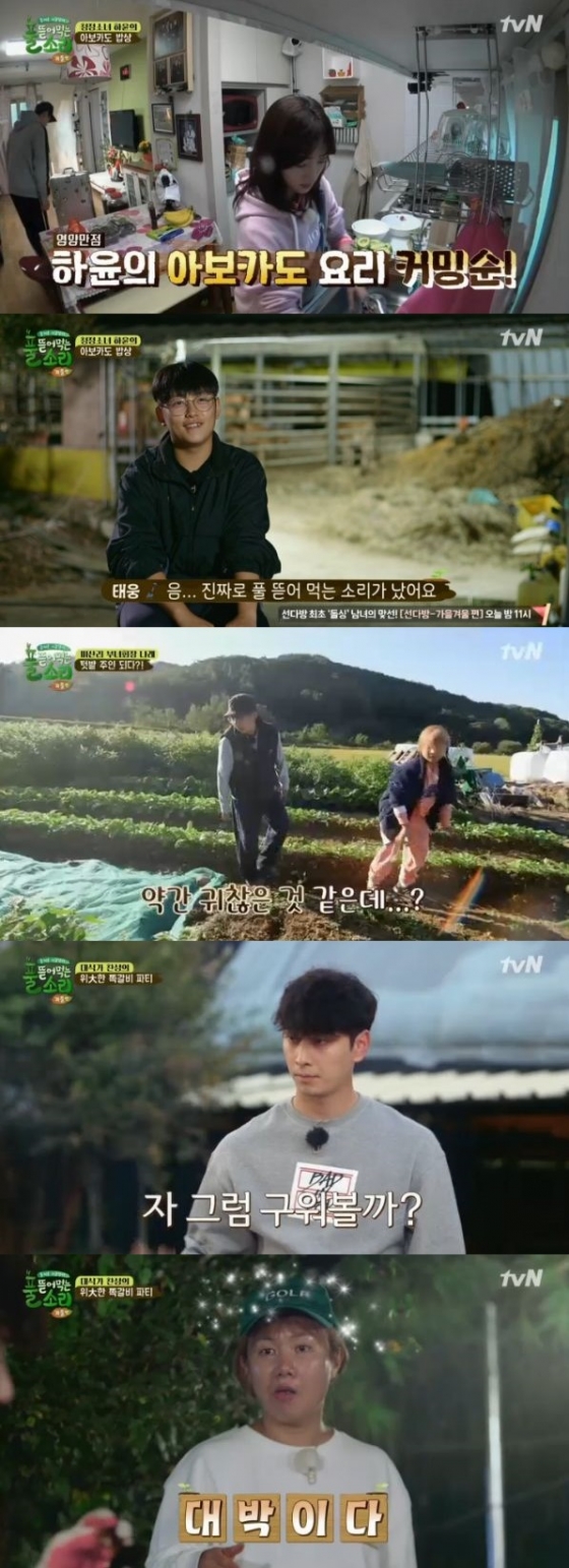 /사진=tvN '풀 뜯어먹는 소리' 방송화면 캡처