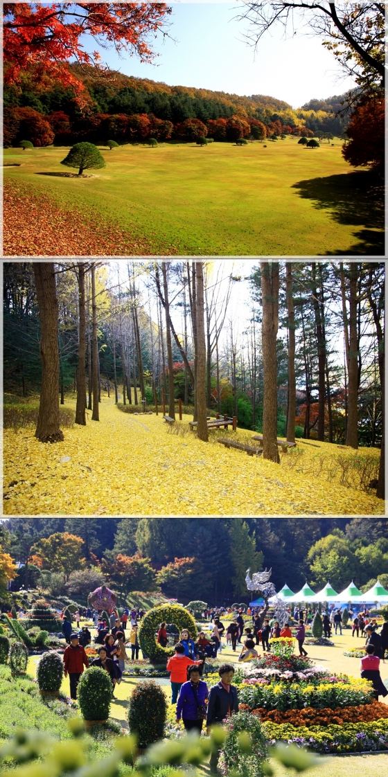 청남대의 가을./사진제공=청남대