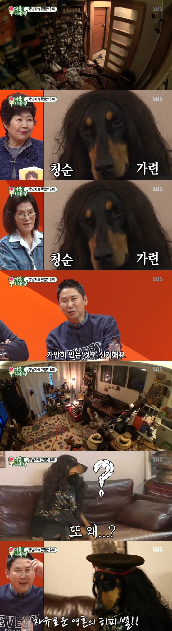 /사진=방송화면 캡처