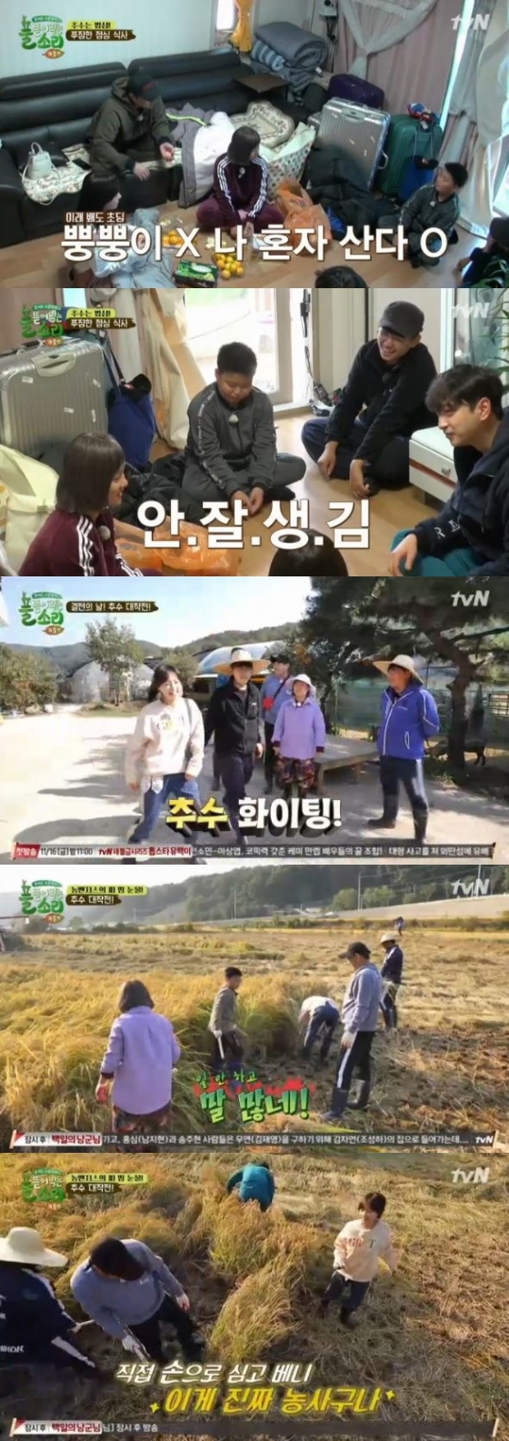 /사진=tvN '풀 뜯어먹는 소리' 방송화면 캡처