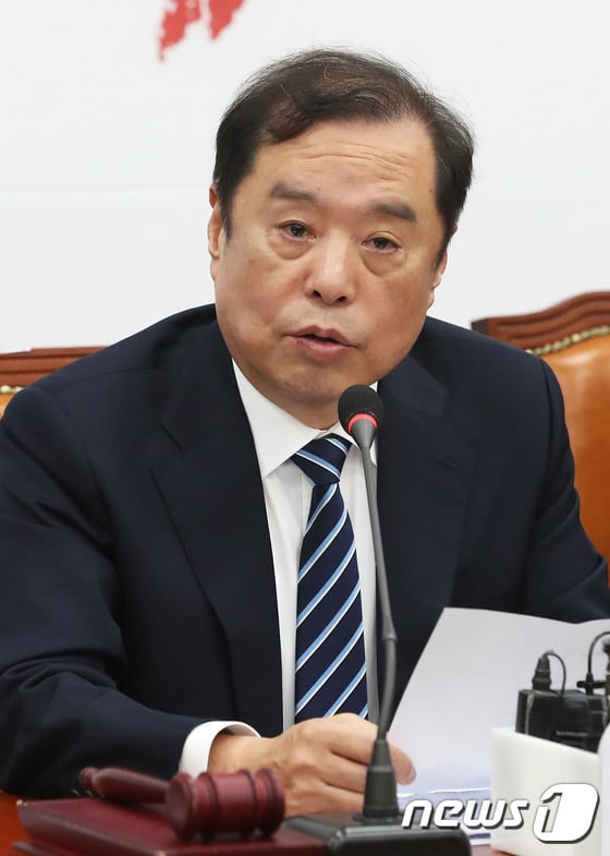 김병준 자유한국당 비상대책위원장. / 사진=뉴스1
