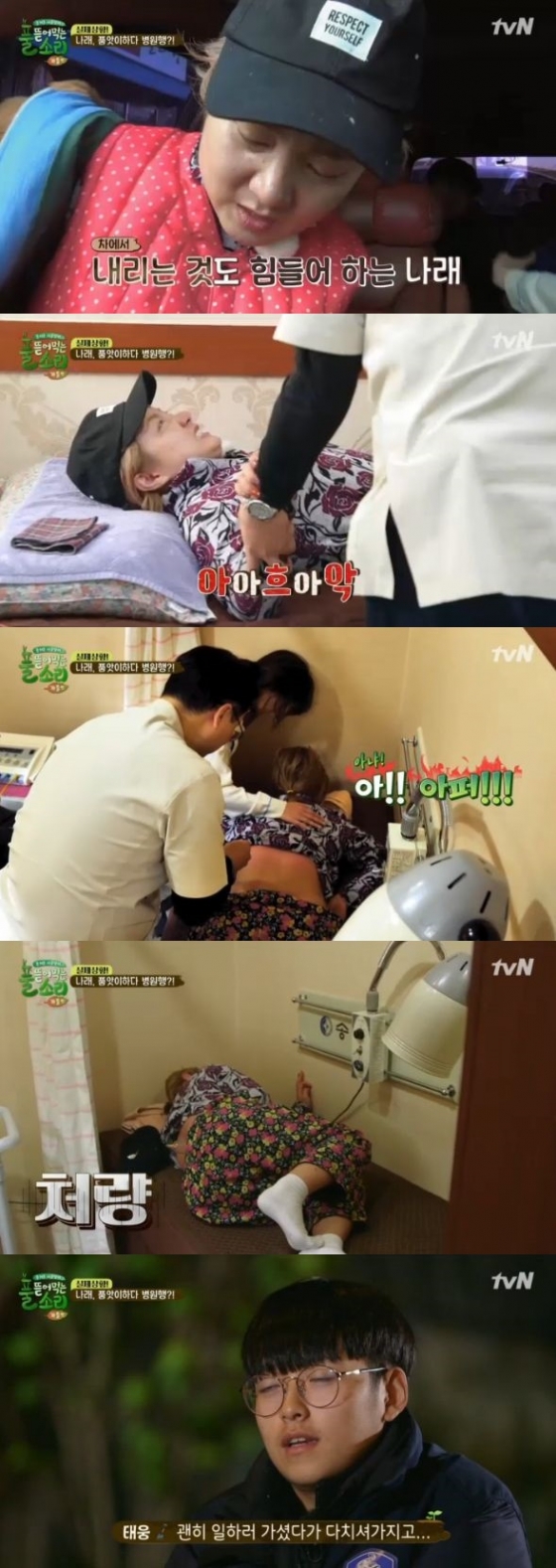 /사진=tvN '풀 뜯어먹는 소리' 방송화면 캡처