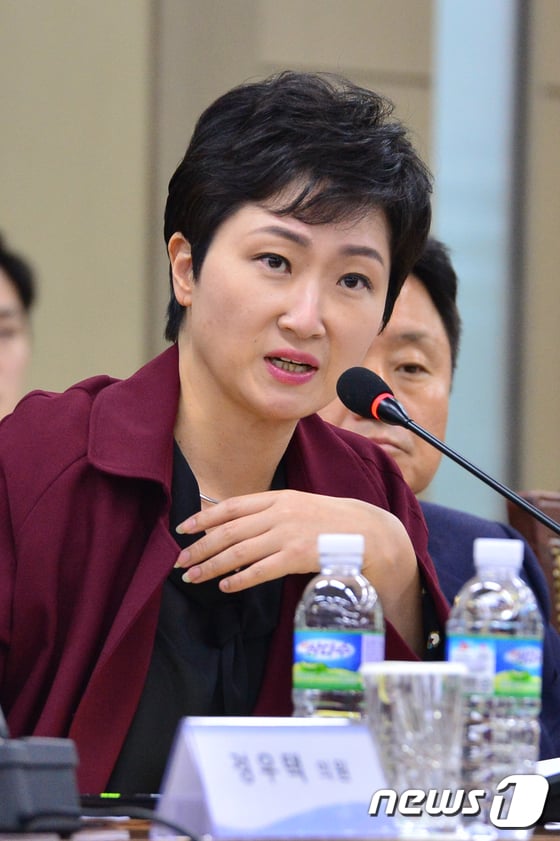 이언주 바른미래당 의원 /사진=뉴스1