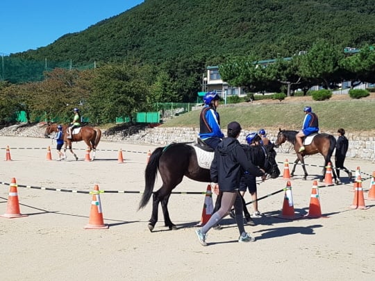 /사진제공=한국마사회