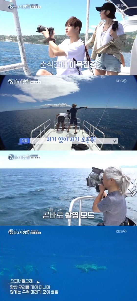 /사진=KBS 2TV '동물의 사생활' 방송화면 캡처