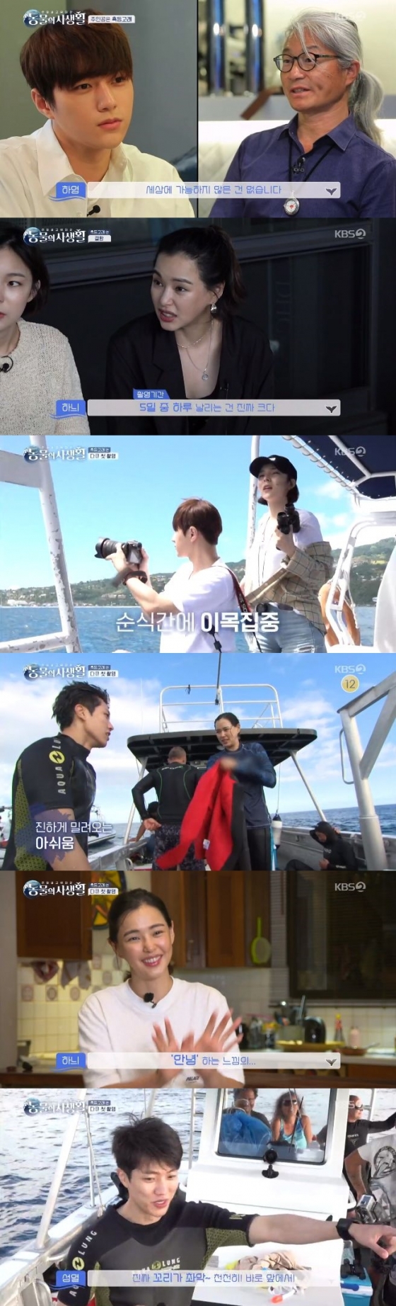 /사진=KBS 2TV '동물의 사생활' 방송화면 캡처