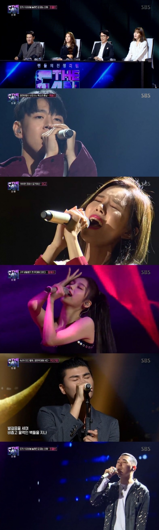 /사진=SBS '더 팬' 방송화면 캡처
