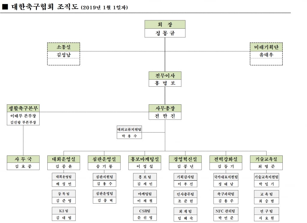 대한축구협회 2019년 조직도 /사진=대한축구협회 제공
