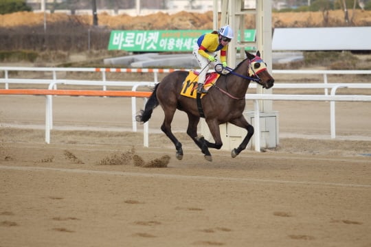 /사진제공=한국마사회