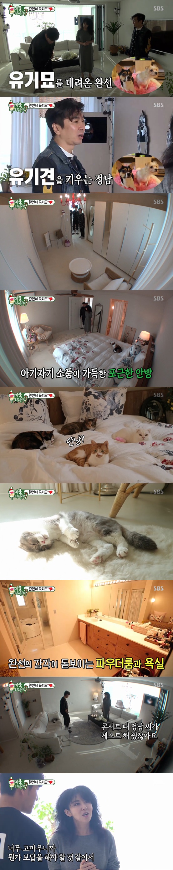 /사진=방송화면 캡처