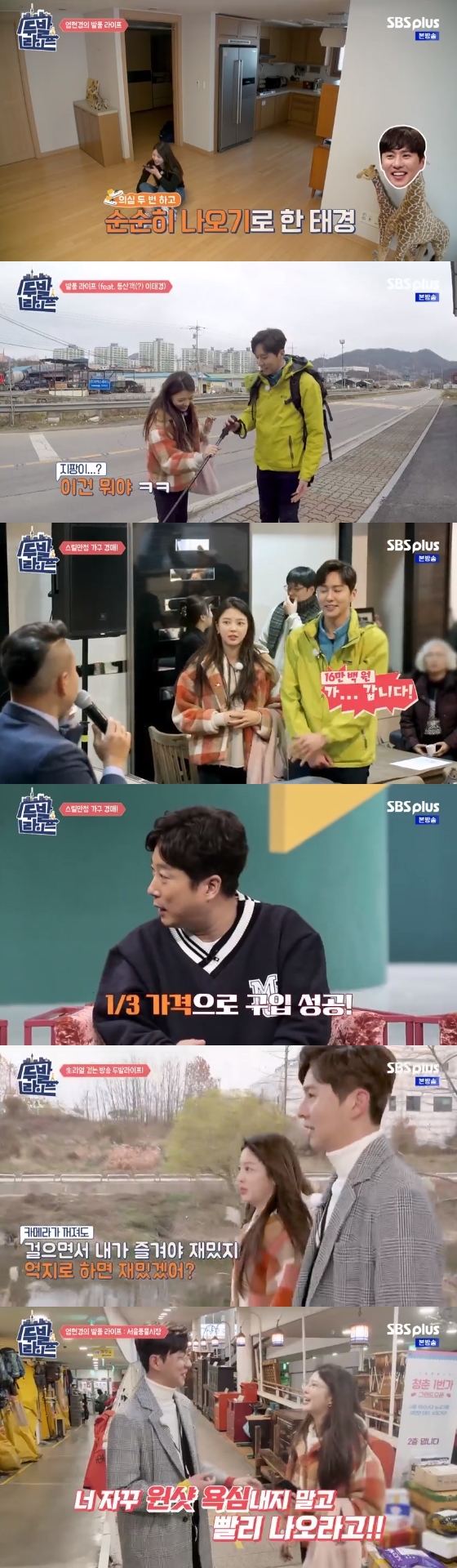 사진