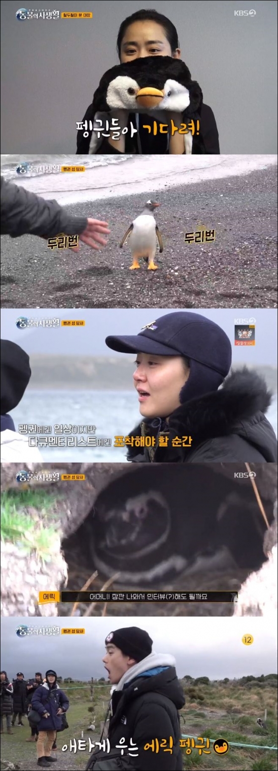 /사진=KBS 2TV '동물의 사생활' 방송화면 캡처
