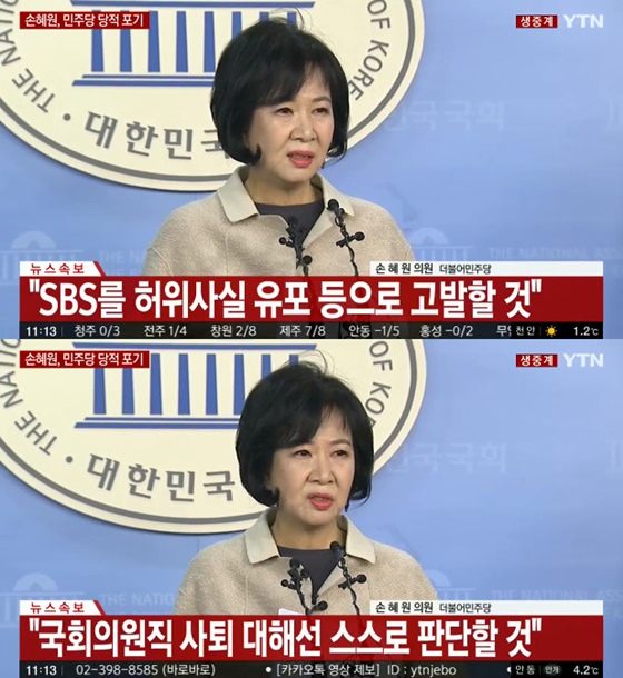 손혜원 의원 /사진=YTN 방송화면 캡처