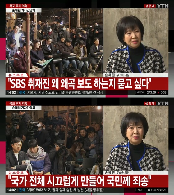 손혜원 기자회견 /사진=YTN 방송화면 캡처