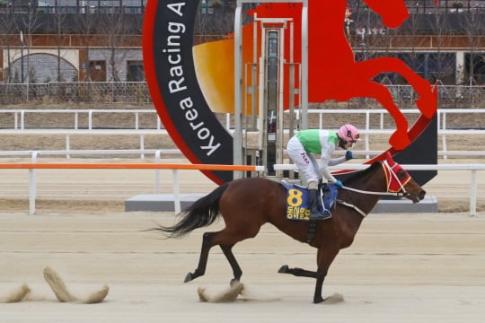 /사진제공=한국마사회