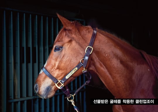 /사진제공=한국마사회