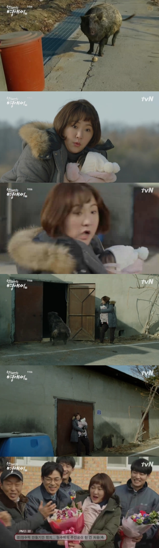 /사진=tvN '막돼먹은 영애씨17' 방송화면 캡처