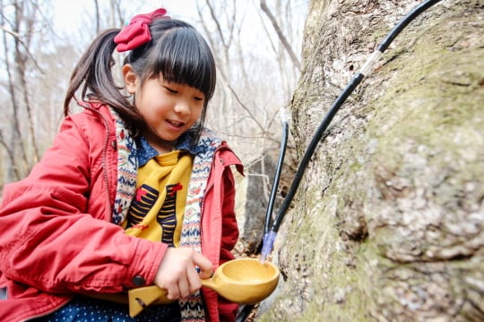 /사진제공=한화호텔앤드리조트