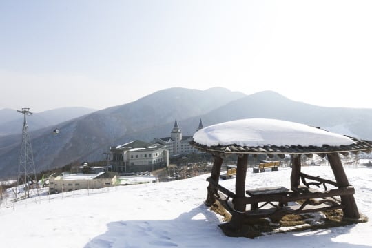 /사진제공=하이원