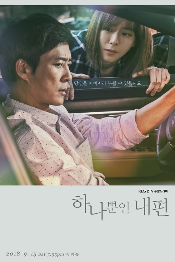 하나뿐인 내편 포스터/사진=초록뱀미디어