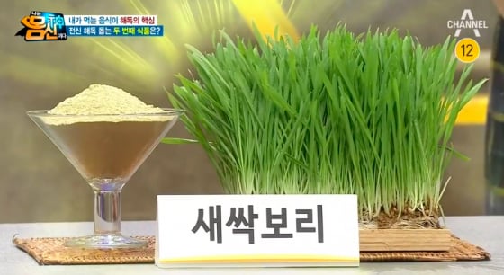 새싹보리/사진=나는 몸신이다 방송 화면