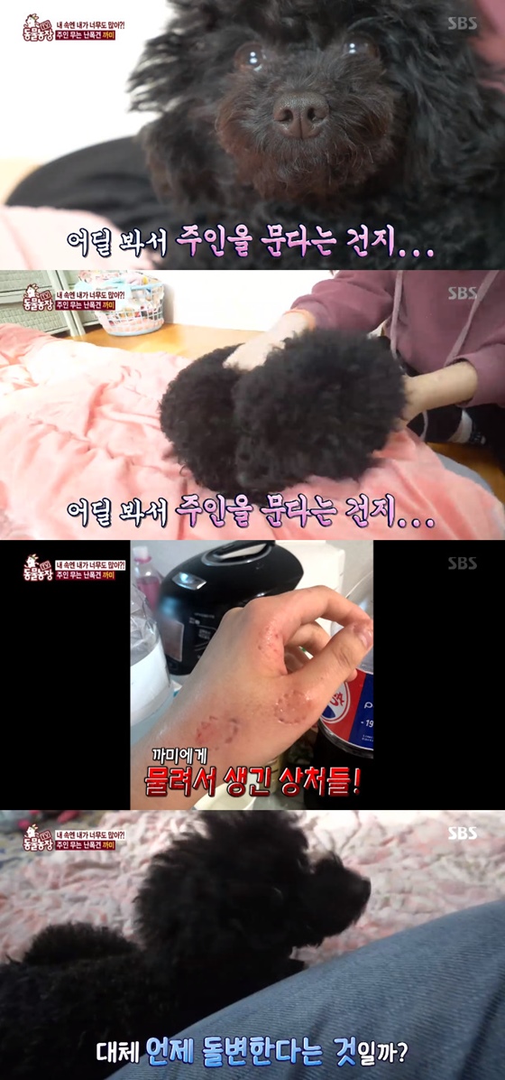 /사진='동물농장' 방송화면 캡처