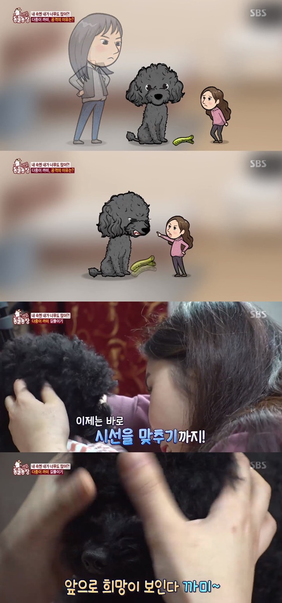 /사진='동물농장' 방송화면 캡처