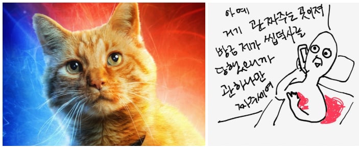 사진
