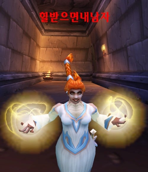 게임 좀 했다는 와우저들은 다 아는 바로 그 전설의 명짤
