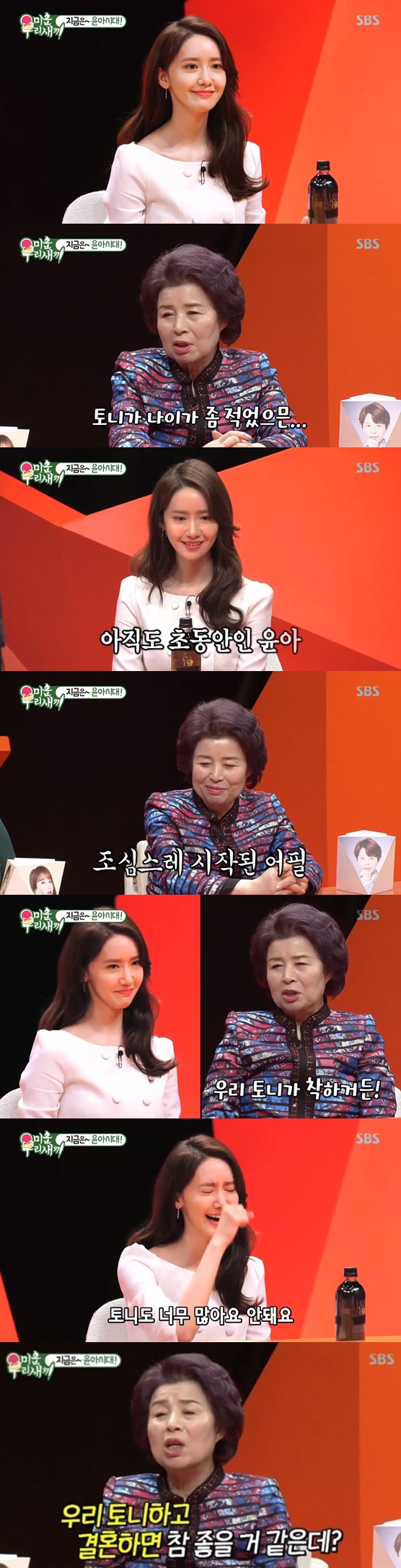 사진
