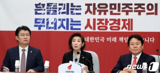 나경원 자유한국당 원내대표가 29일 국회에서 열린 원내대책회의에 참석, 모두 발언을 하고 있다./사진=뉴스1