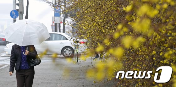 오늘 날씨, 봄비 소식 속 미세먼지는 '나쁨' /사진=뉴스