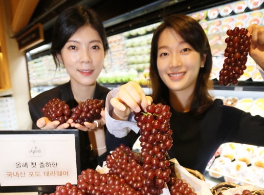 /사진제공=갤러리아