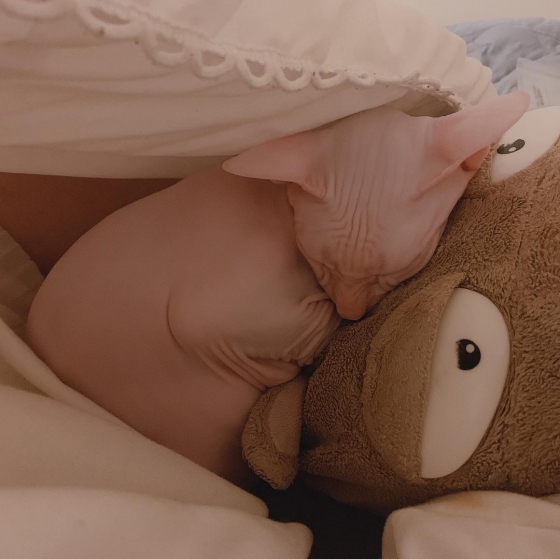 /사진=설리 인스타그램