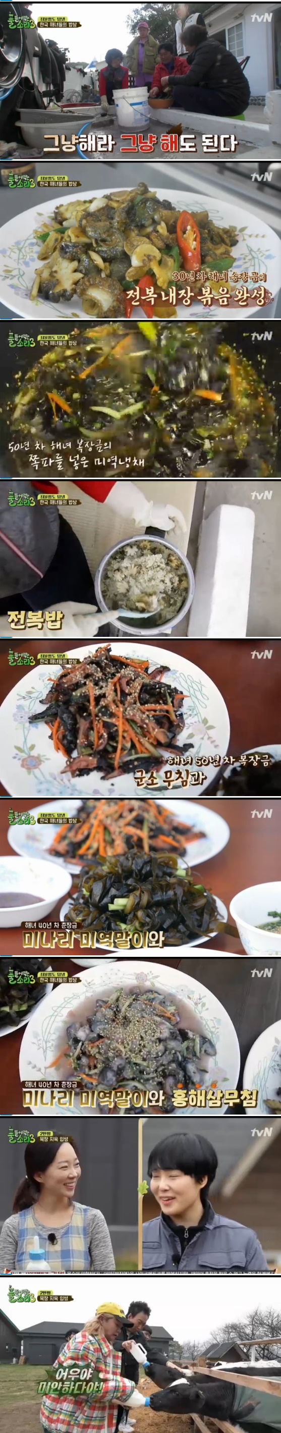 /사진= '풀 뜯어먹는 소리 3-대농원정대' 방송화면