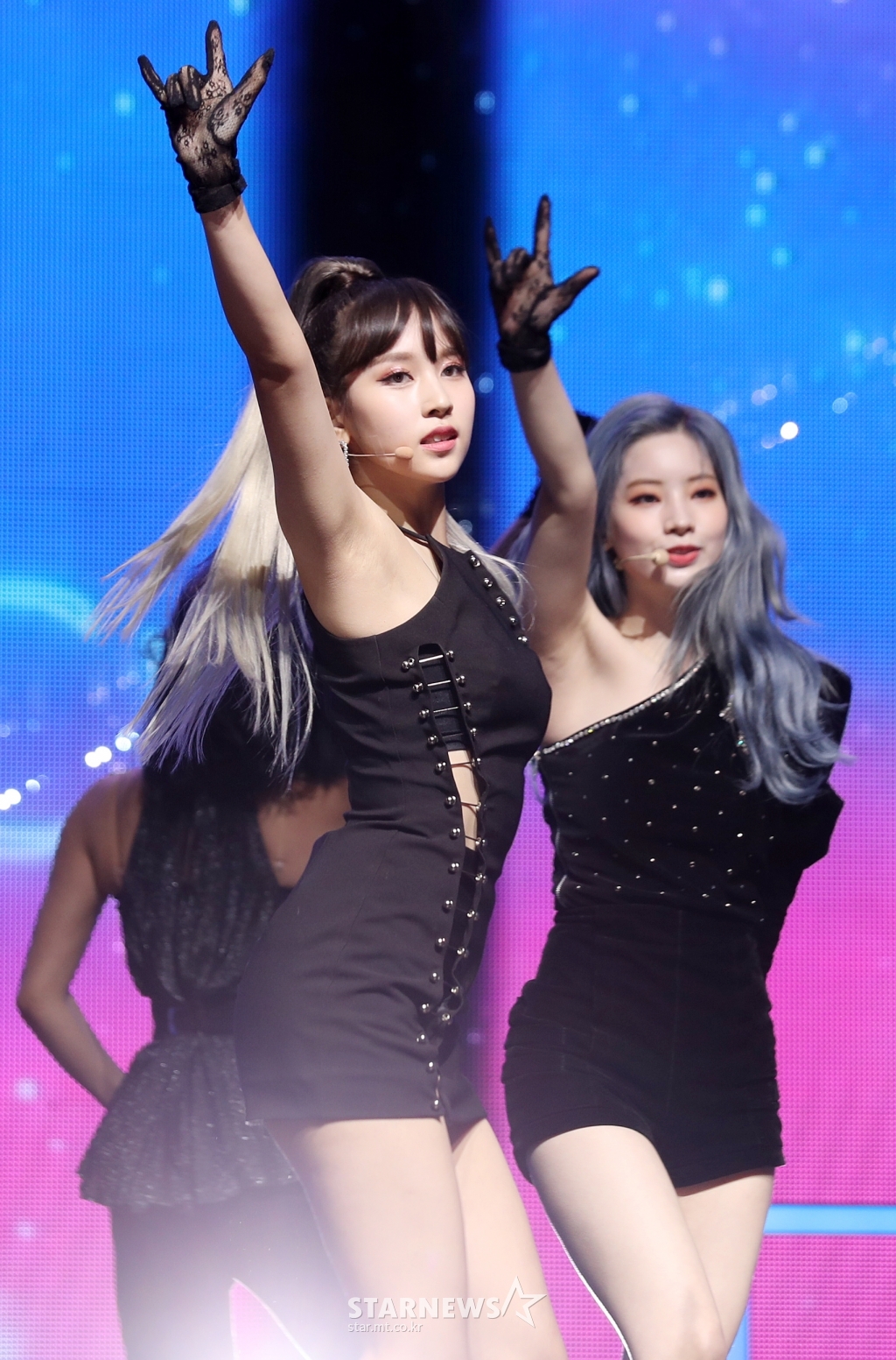 사진