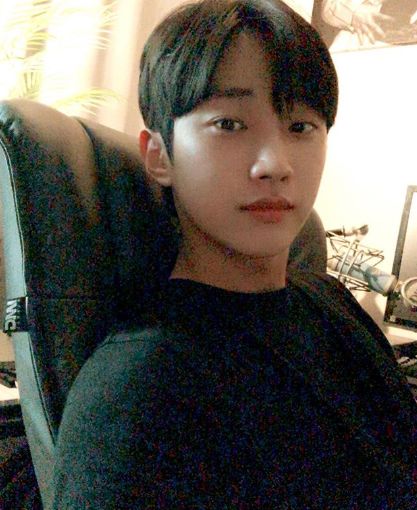 사진