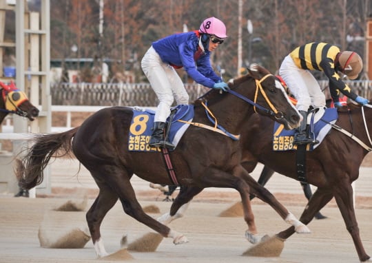 /사진제공=한국마사회