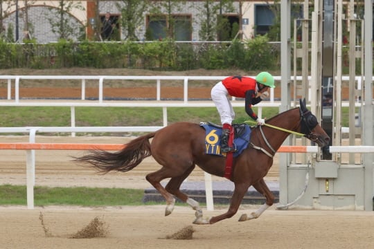 /사진제공=한국마사회